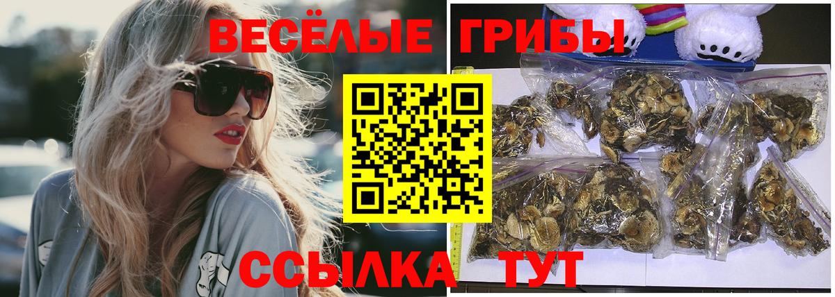 Псилоцибиновые грибы прущие грибы Дубна