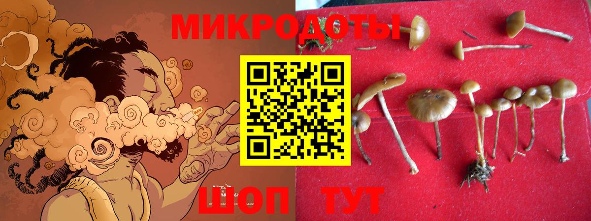 Псилоцибиновые грибы GOLDEN TEACHER  Вход с VPN  Дубна 
