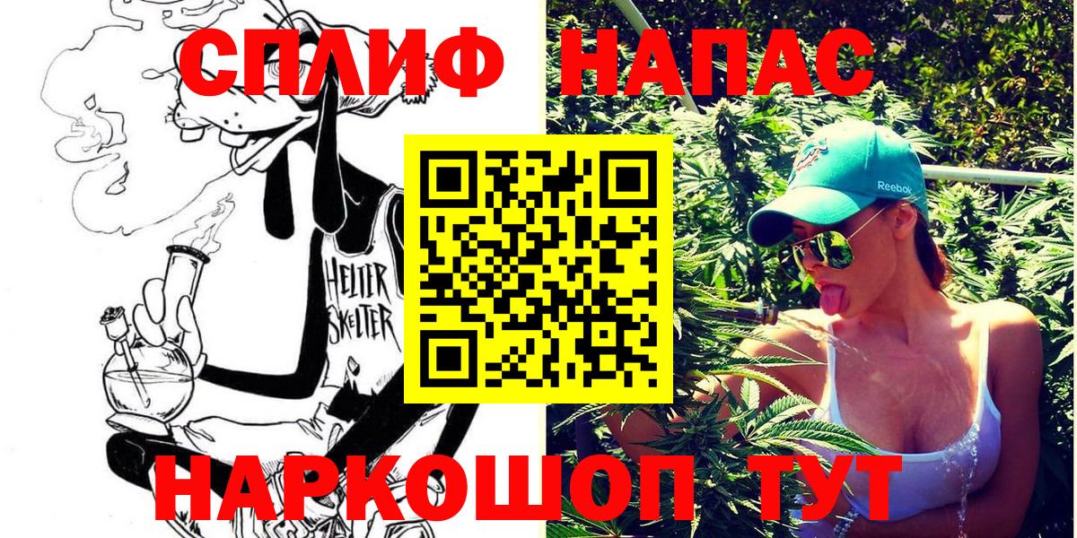 Бошки Шишки планчик Дубна